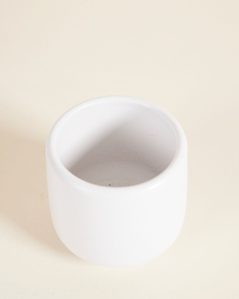 Baby Amber Pot White Ø 6 cm