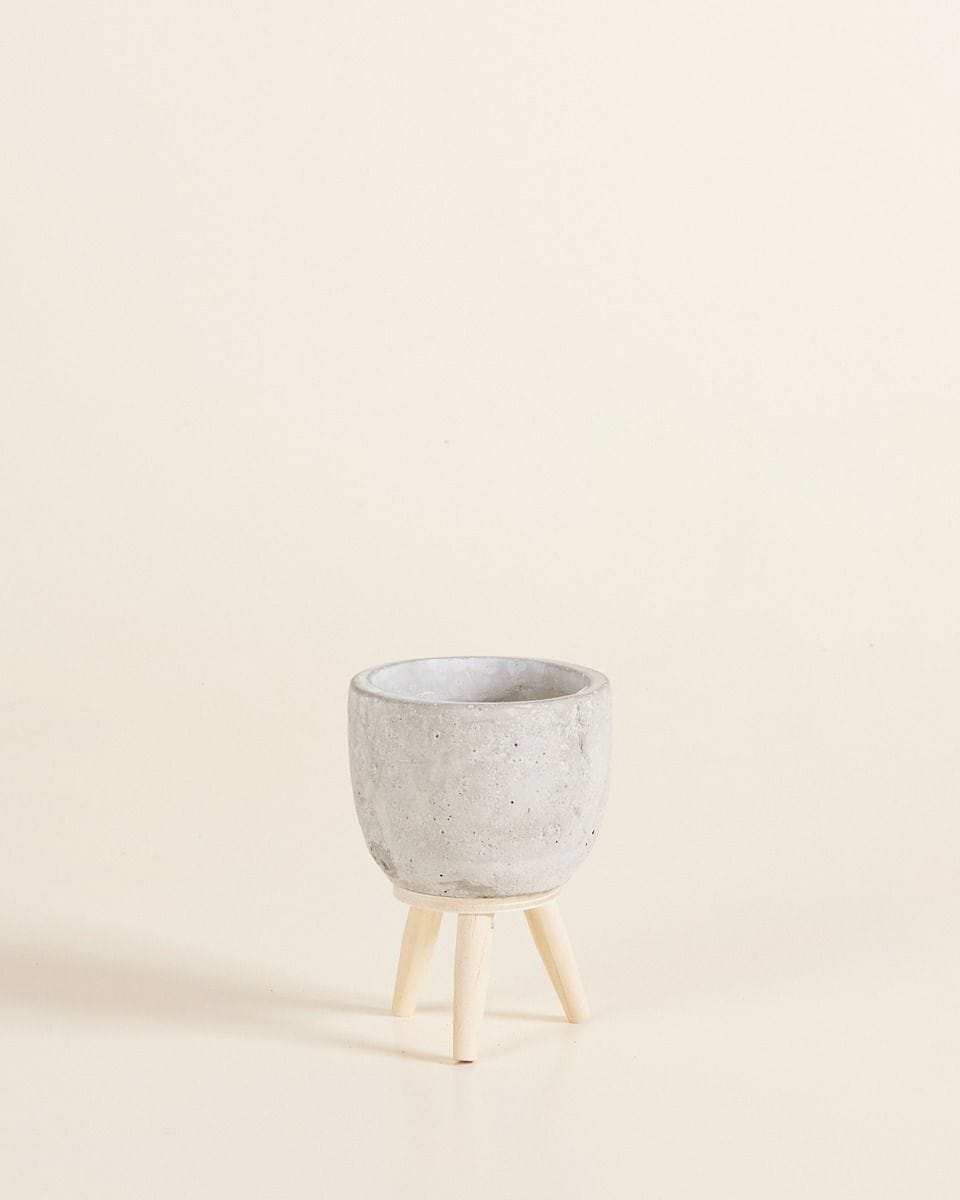 Baby Jimmy Pot Grey Ø 6 cm