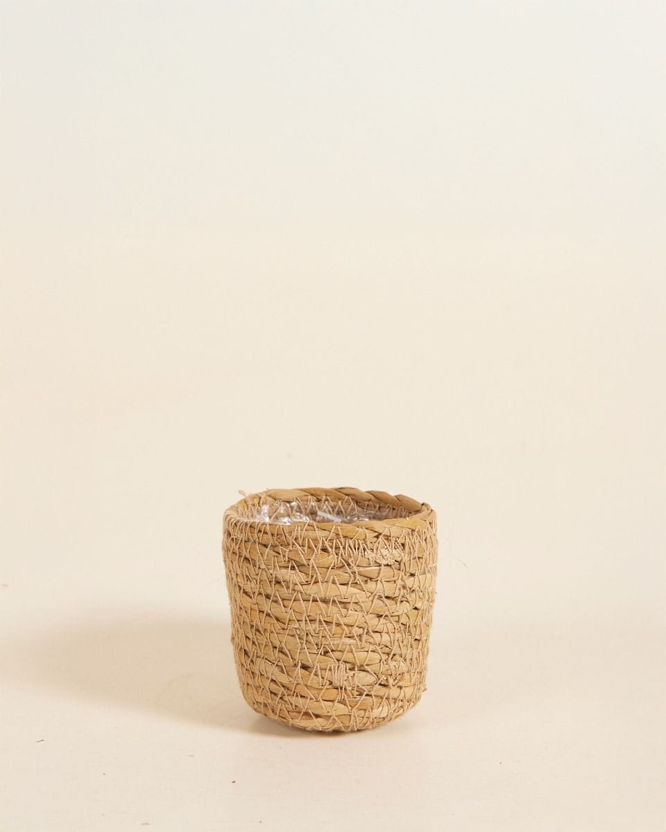Baby Stef Basket Ø 5.5 cm