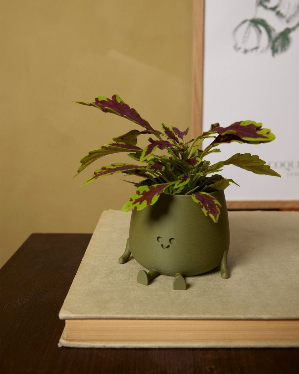 Baby Happy Harry Pot Green Ø 6 cm