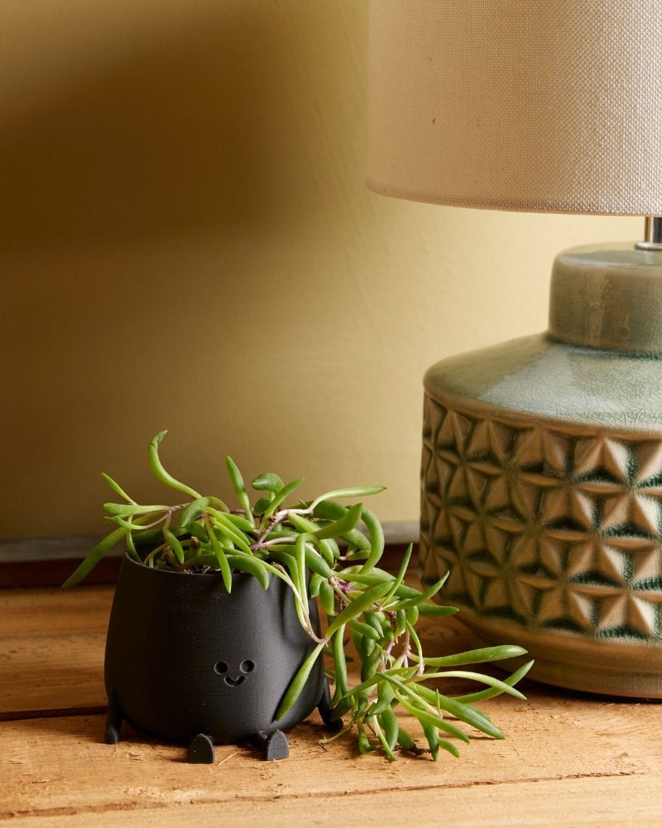 Baby Happy Harry Pot Black Ø 6 cm