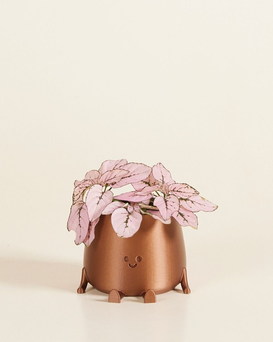 Baby Happy Harry Pot Copper Ø 6 cm