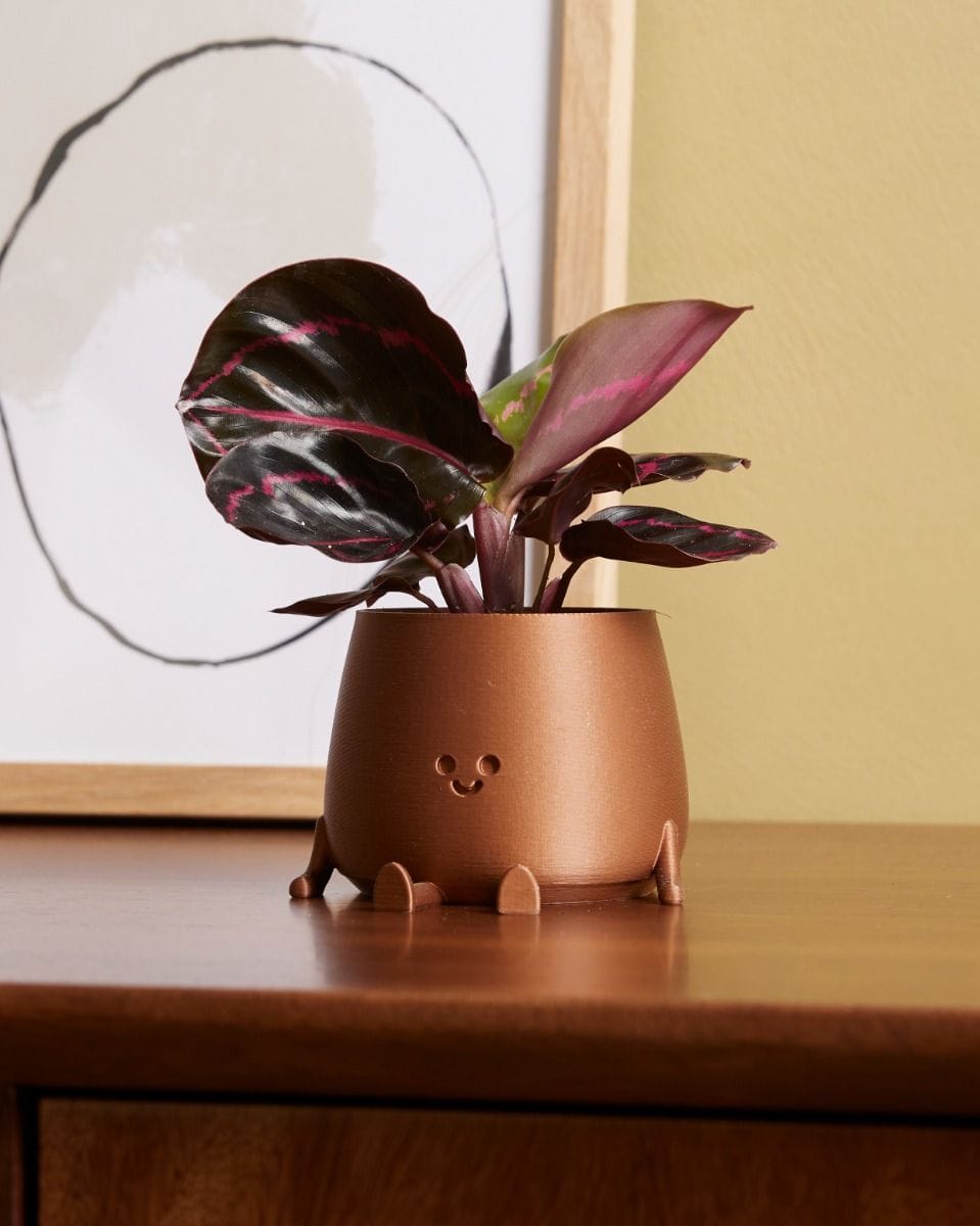 Baby Happy Harry Pot Copper Ø 6 cm