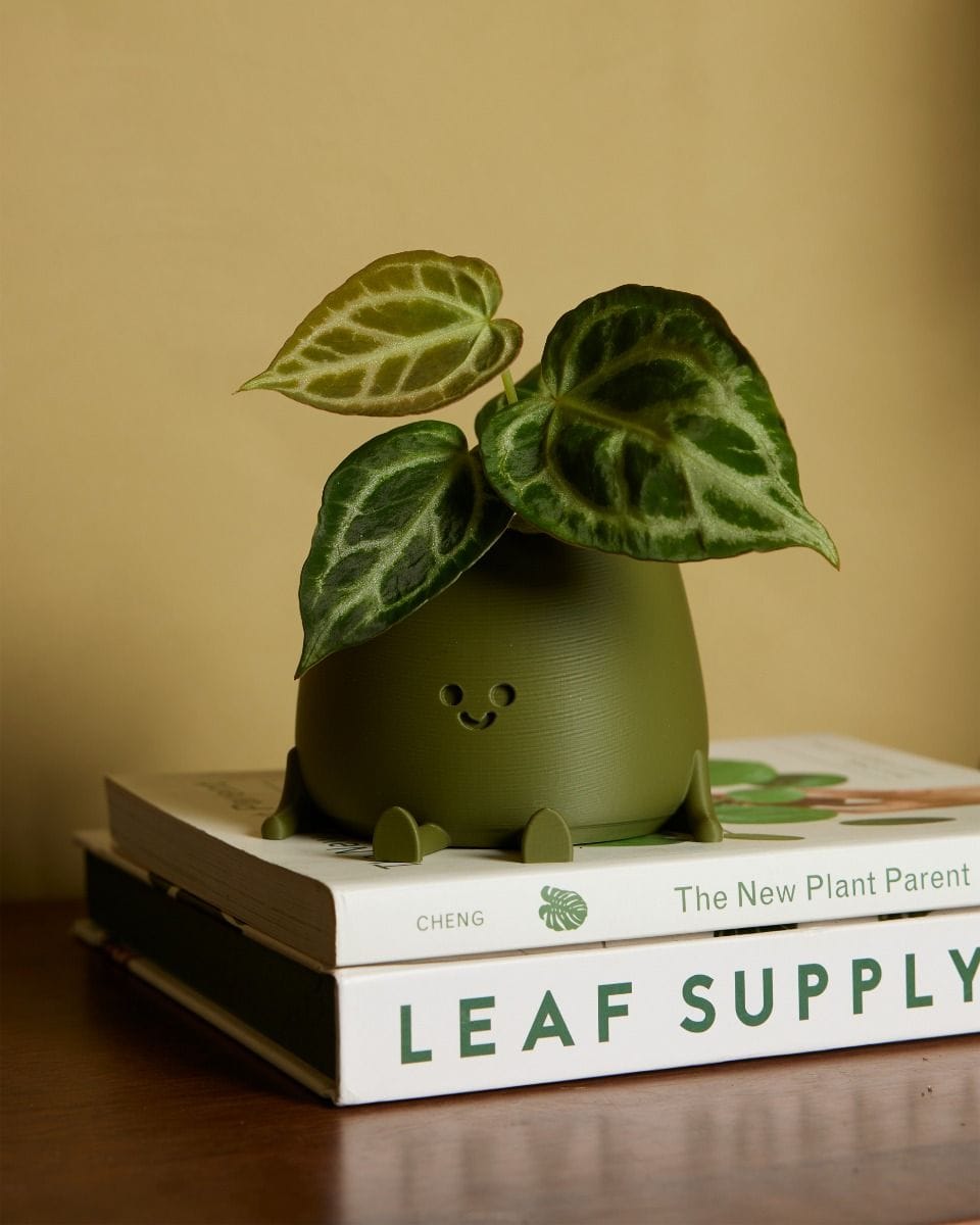 Baby Happy Harry Pot Green Ø 8 cm
