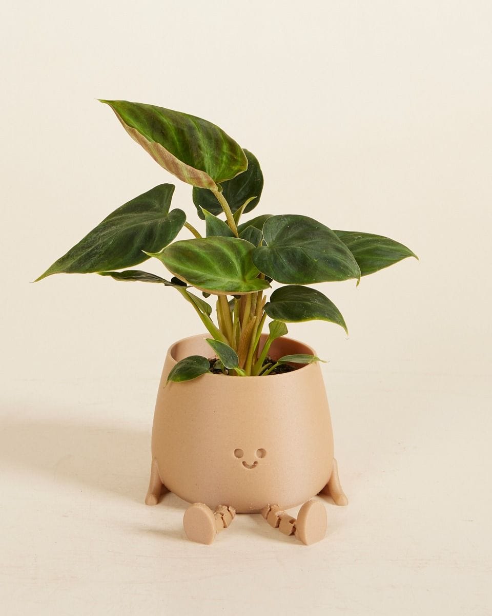 Baby Leggy Happy Harry Pot Beige Ø 6 cm