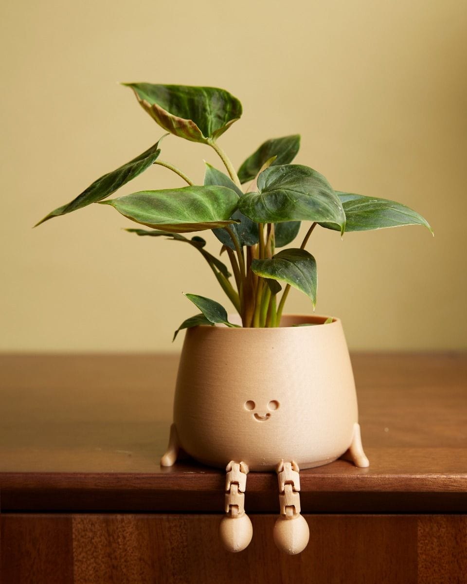 Baby Leggy Happy Harry Pot Beige Ø 6 cm