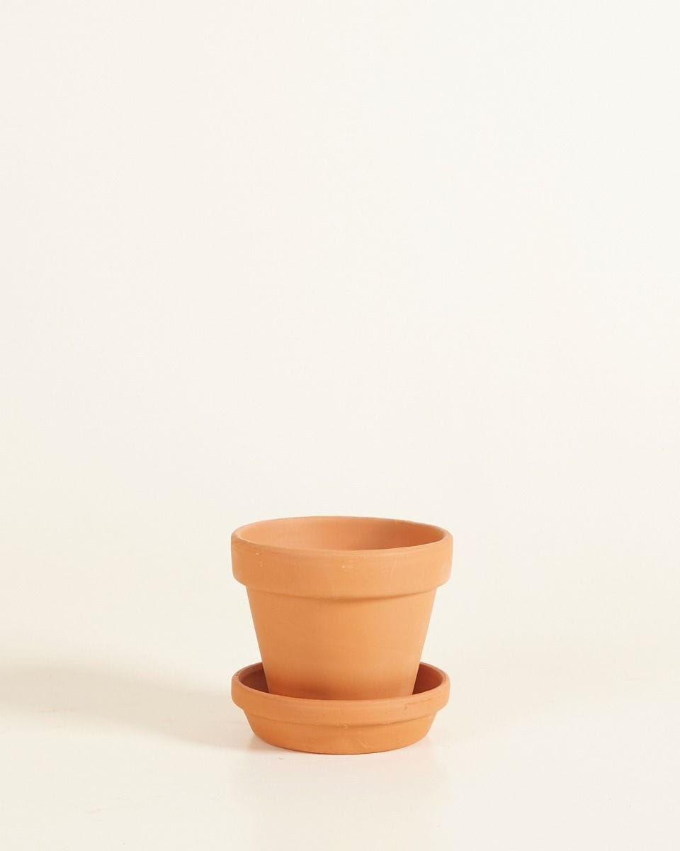 Baby Orange Terracotta Pot Ø 9 cm