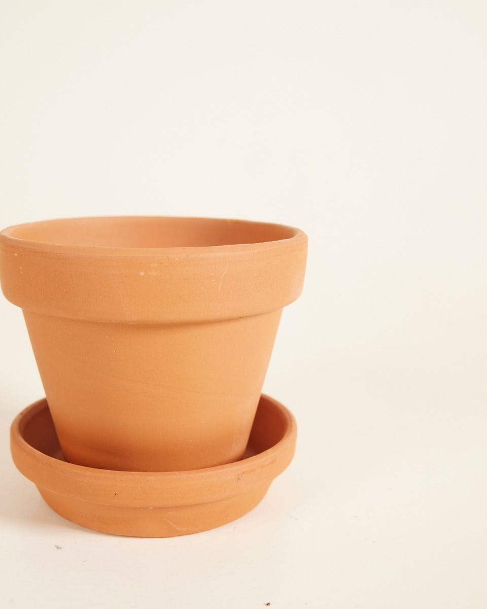 Baby Orange Terracotta Pot Ø 9 cm