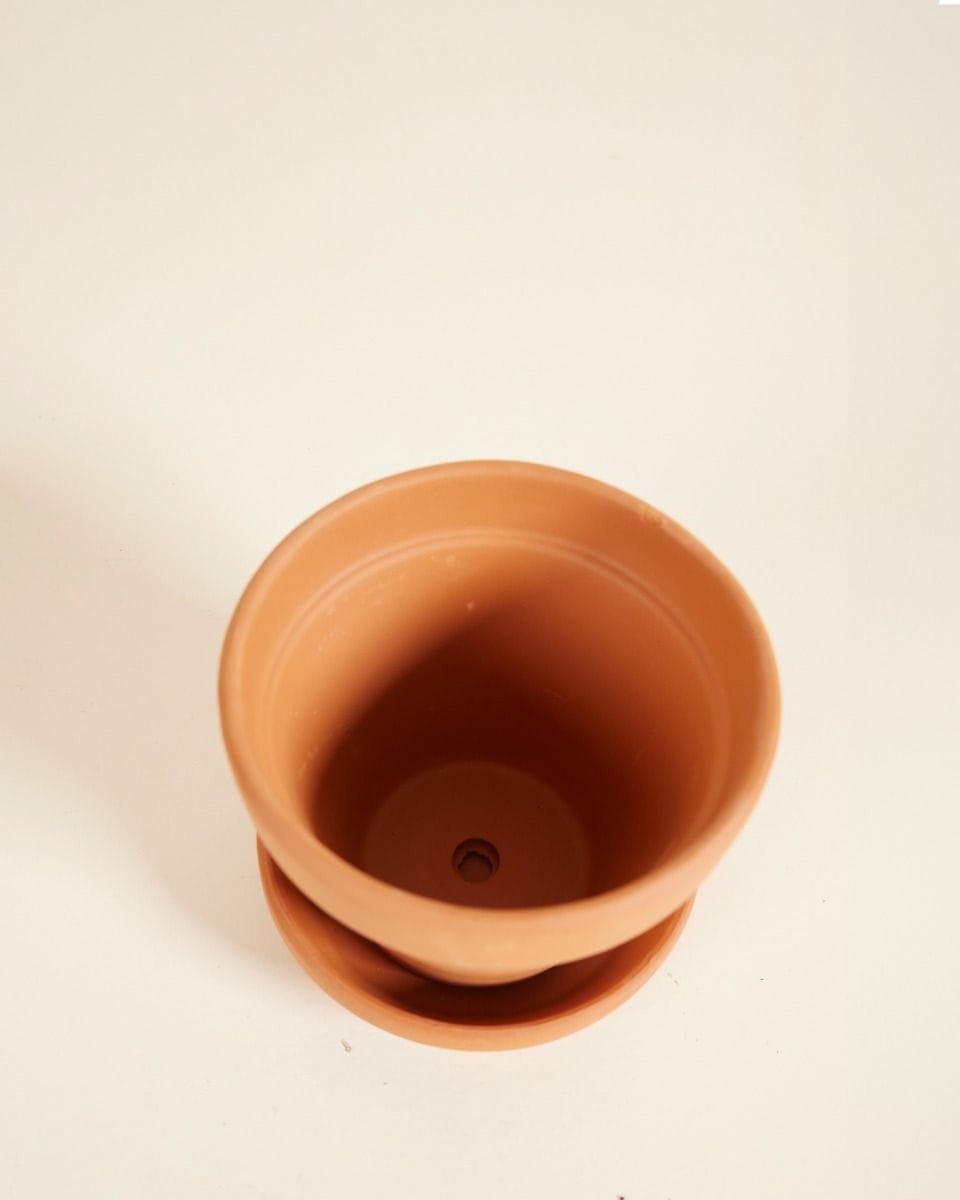 Baby Orange Terracotta Pot Ø 9 cm