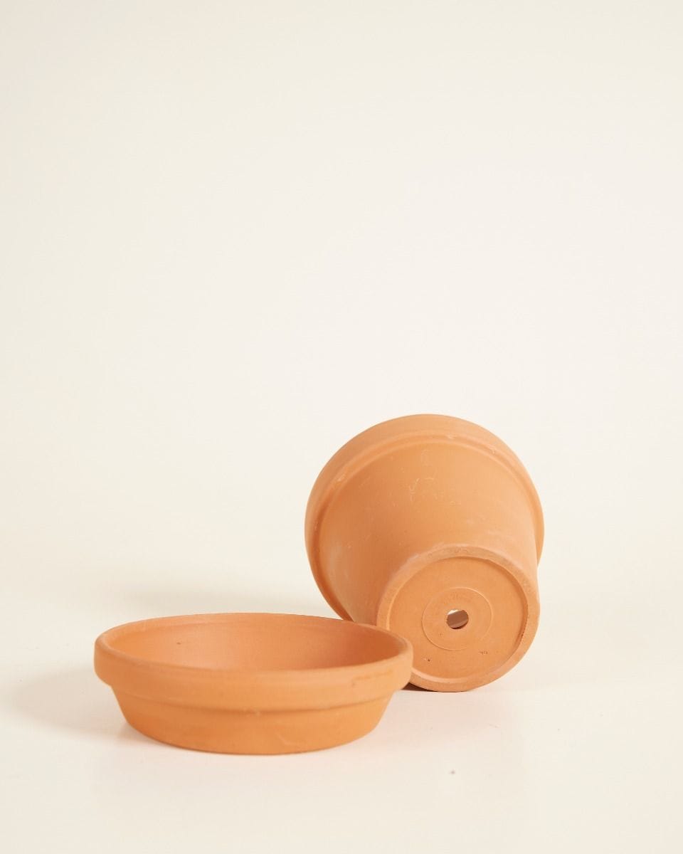 Baby Orange Terracotta Pot Ø 9 cm