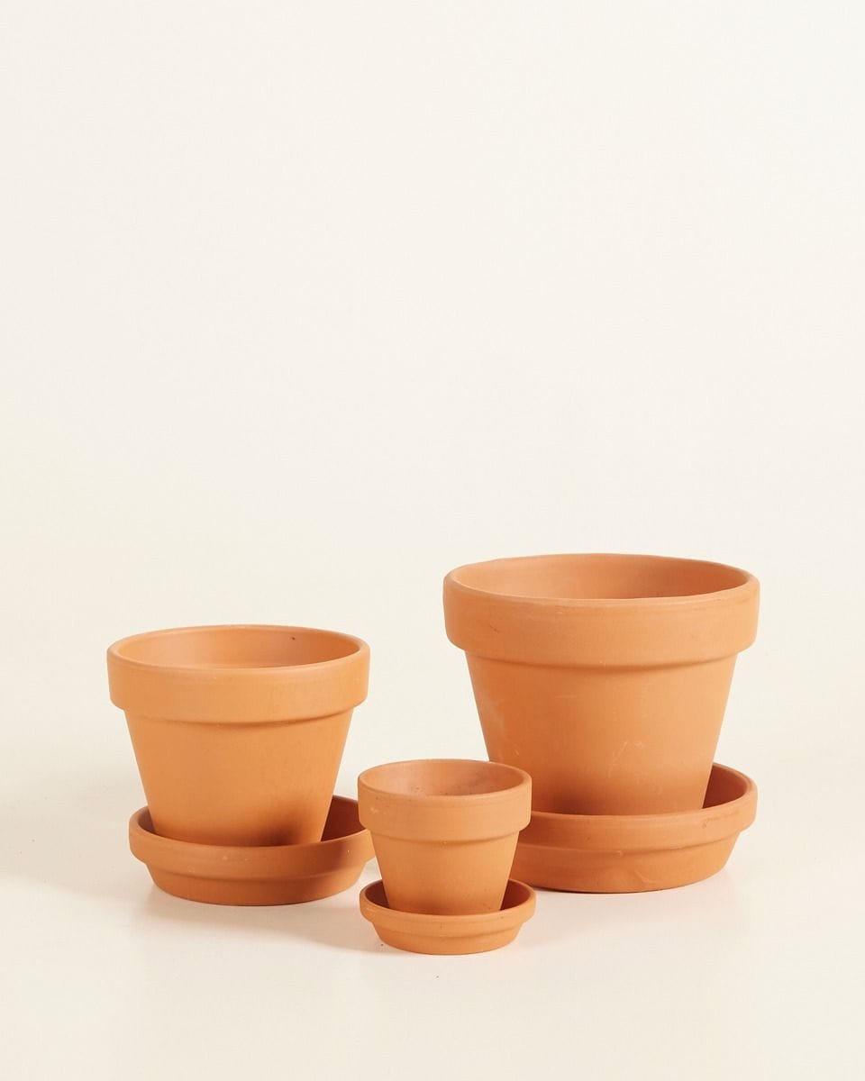 Baby Orange Terracotta Pot Ø 9 cm