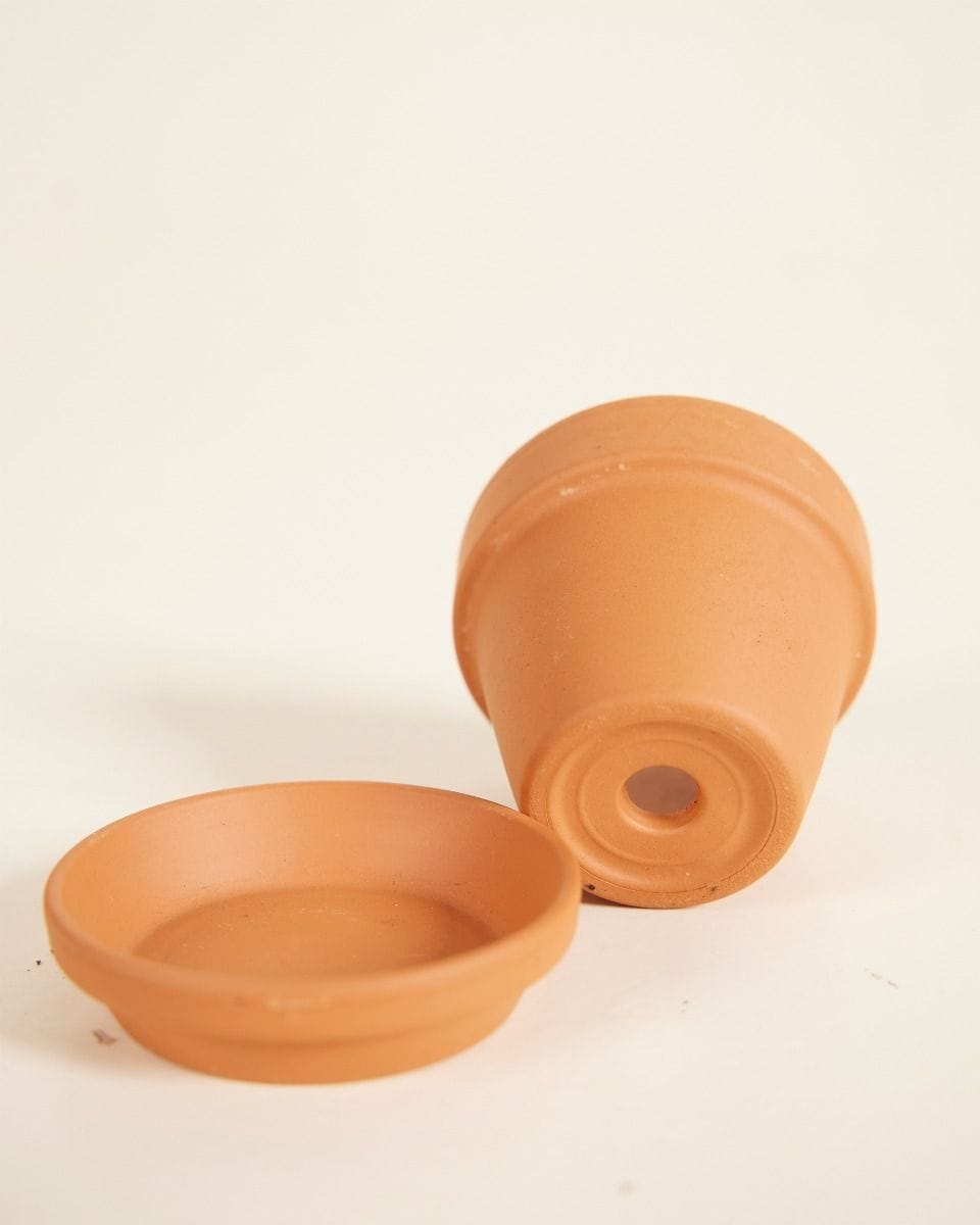 Baby Orange Terracotta Pot Ø 5 cm