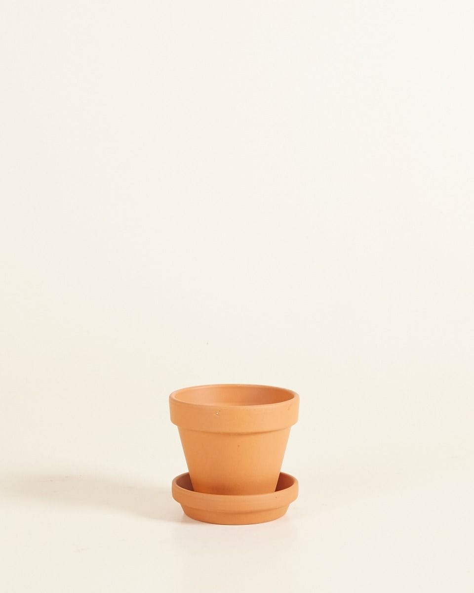 Baby Orange Terracotta Pot Ø 8 cm
