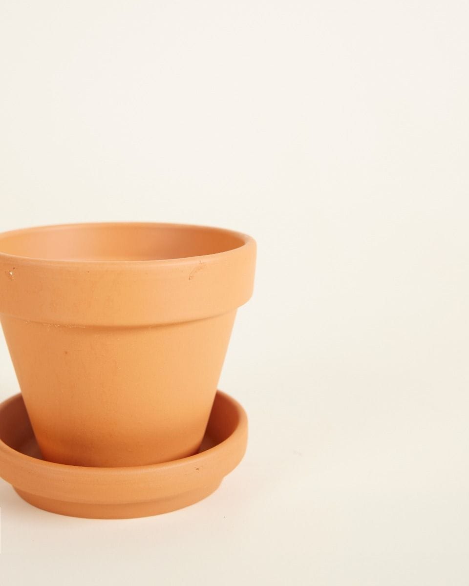 Baby Orange Terracotta Pot Ø 8 cm