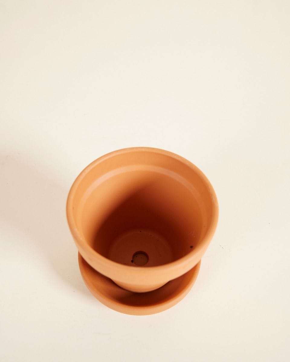 Baby Orange Terracotta Pot Ø 8 cm