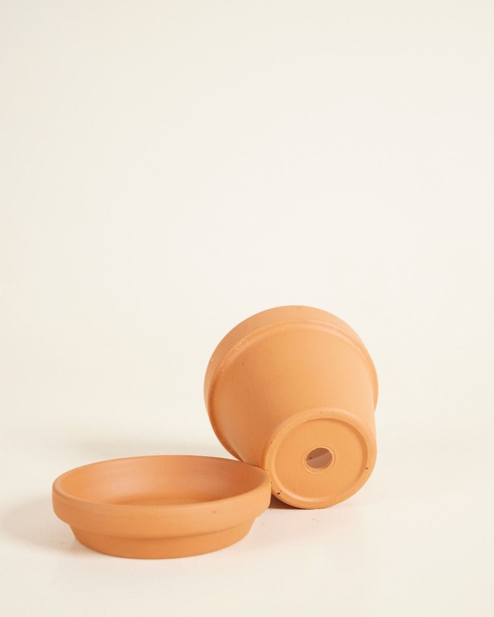 Baby Orange Terracotta Pot Ø 8 cm
