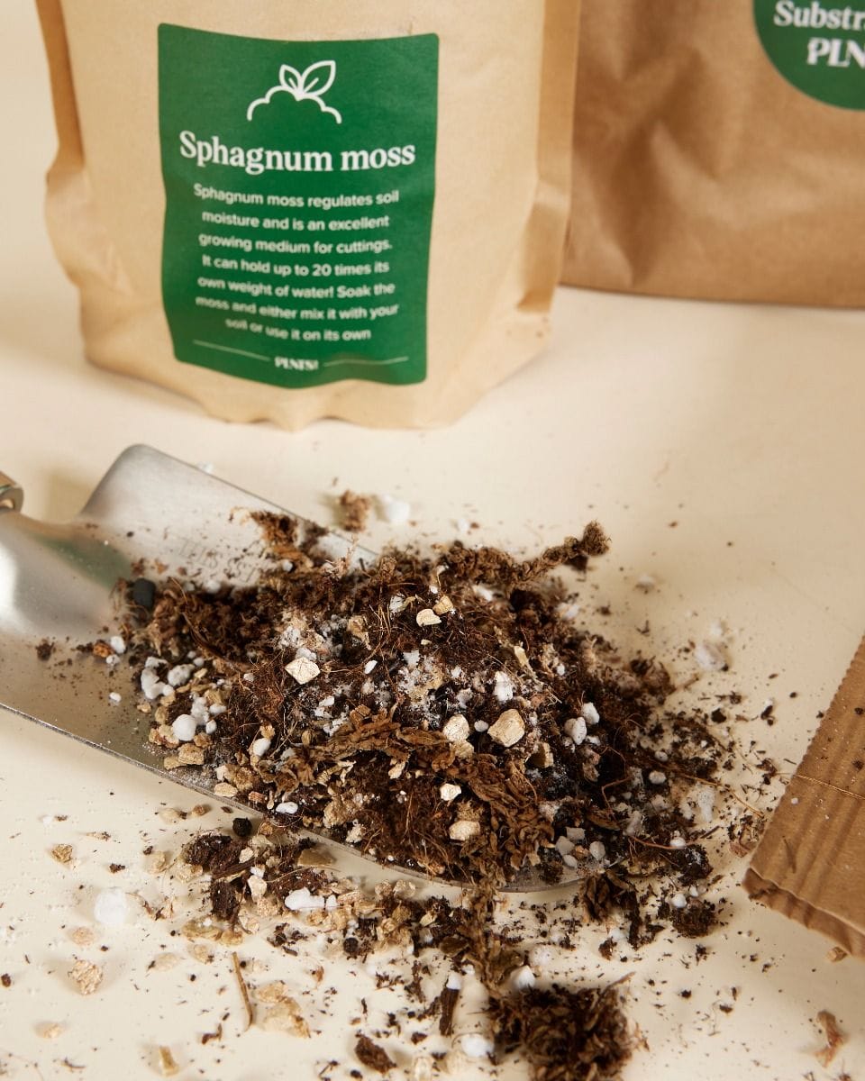 Propagation Substrates Set Care Set
