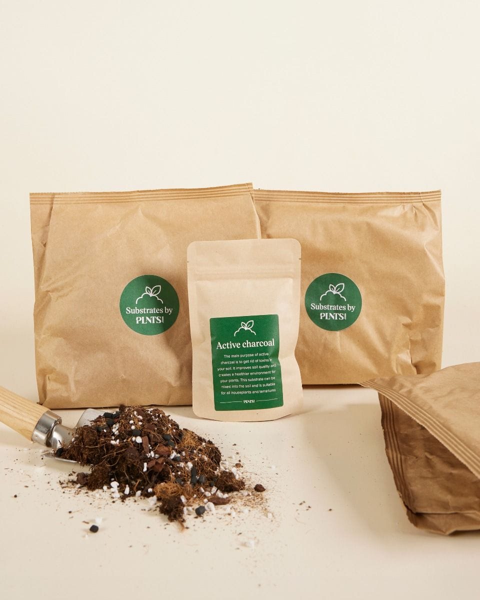 Aroids potting mix kit productset