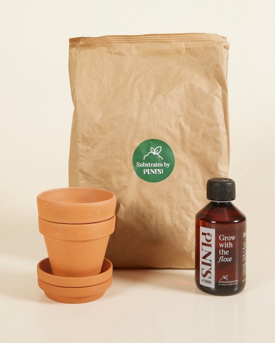 Baby Grow Set 2x Pot 9cm, Soil 3l, Plant Nutrition