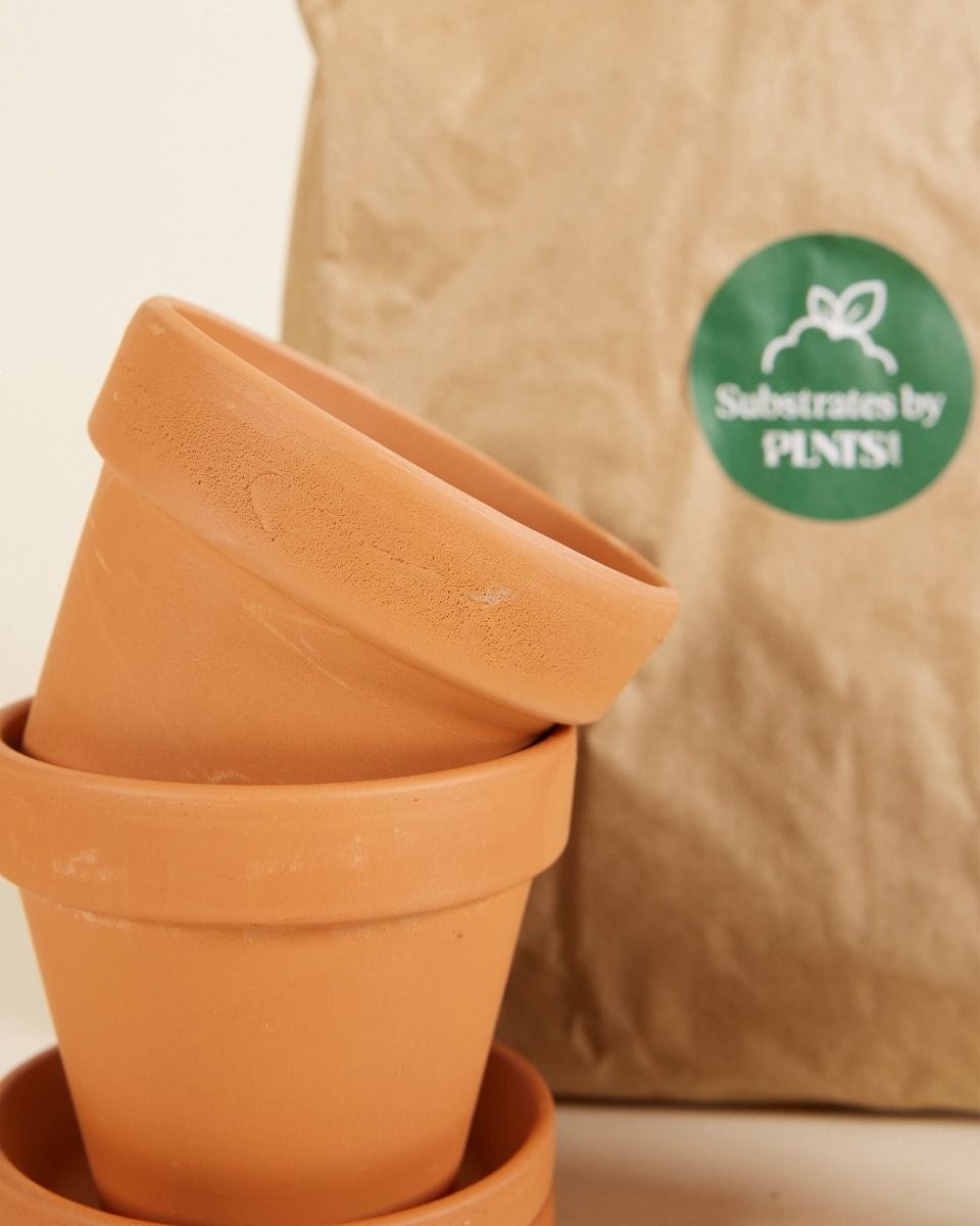 Baby Grow Set 2x Pot 9cm, Soil 3l, Plant Nutrition