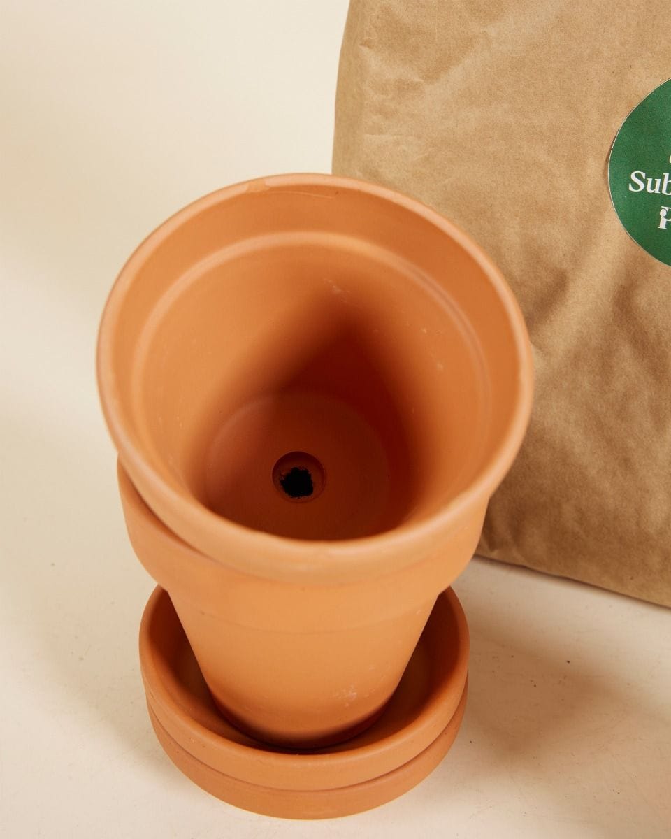 Baby Grow Set 2x Pot 9cm, Soil 3l, Plant Nutrition
