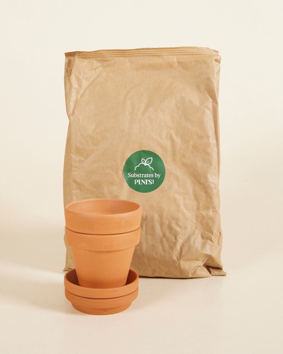 Baby Potting Set 2x Topf 9cm, Boden 3l