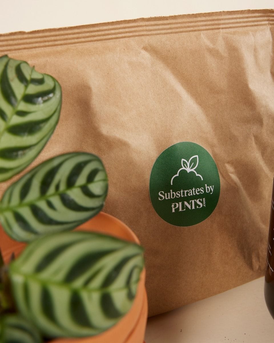 PLNTS Starter Kit 8 Artikel