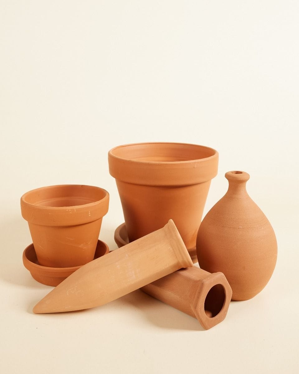Terra Summer Vibes Set Productset