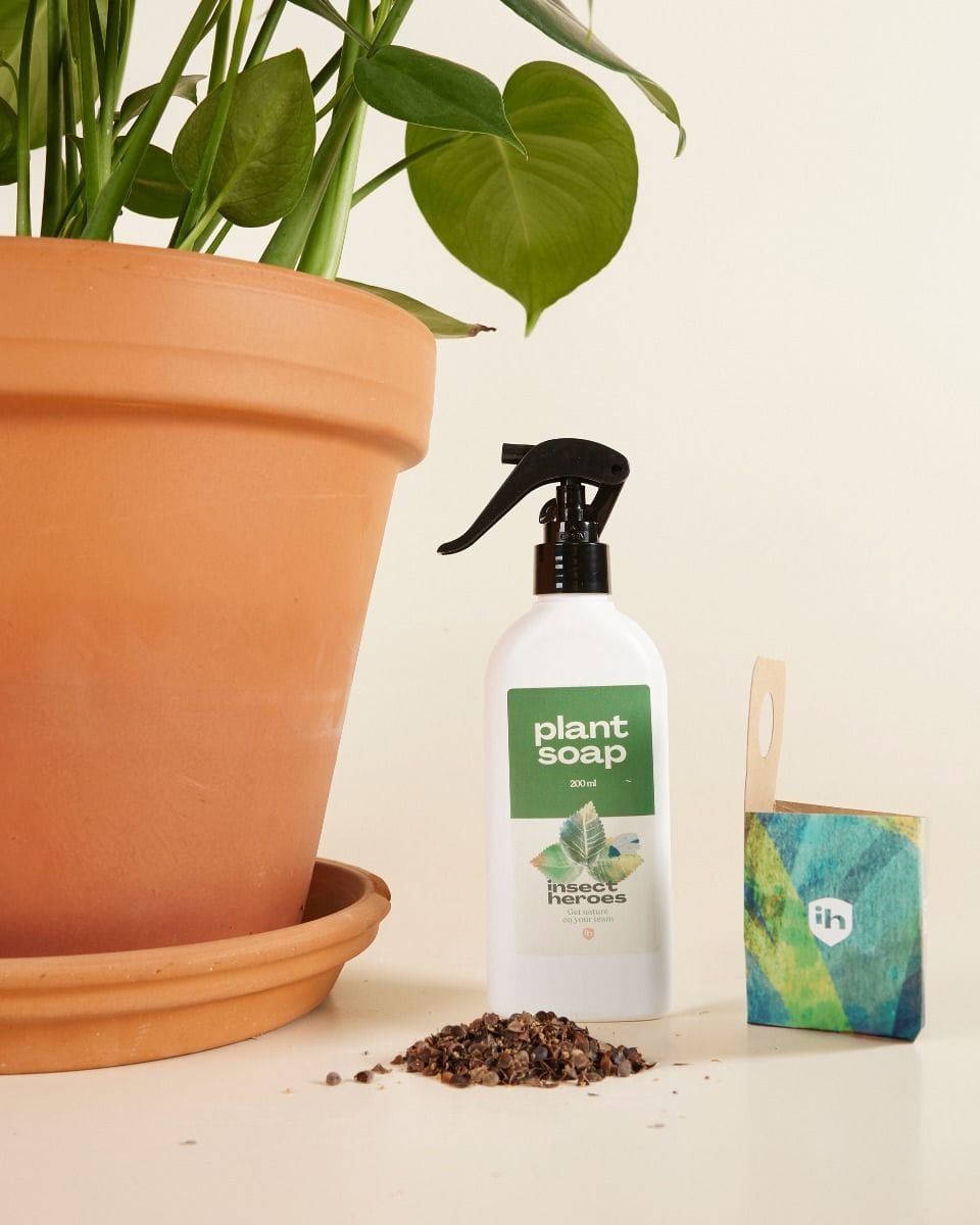 Pest control combideal: mealybugs Crypto + Plantsoap