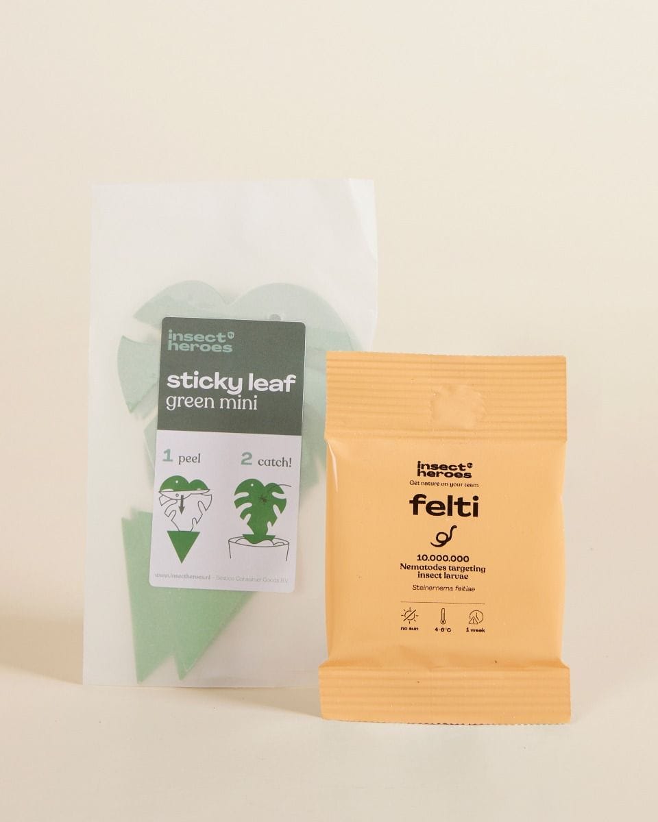 Pest control combideal: fungus gnats Felti + Sticky leaves
