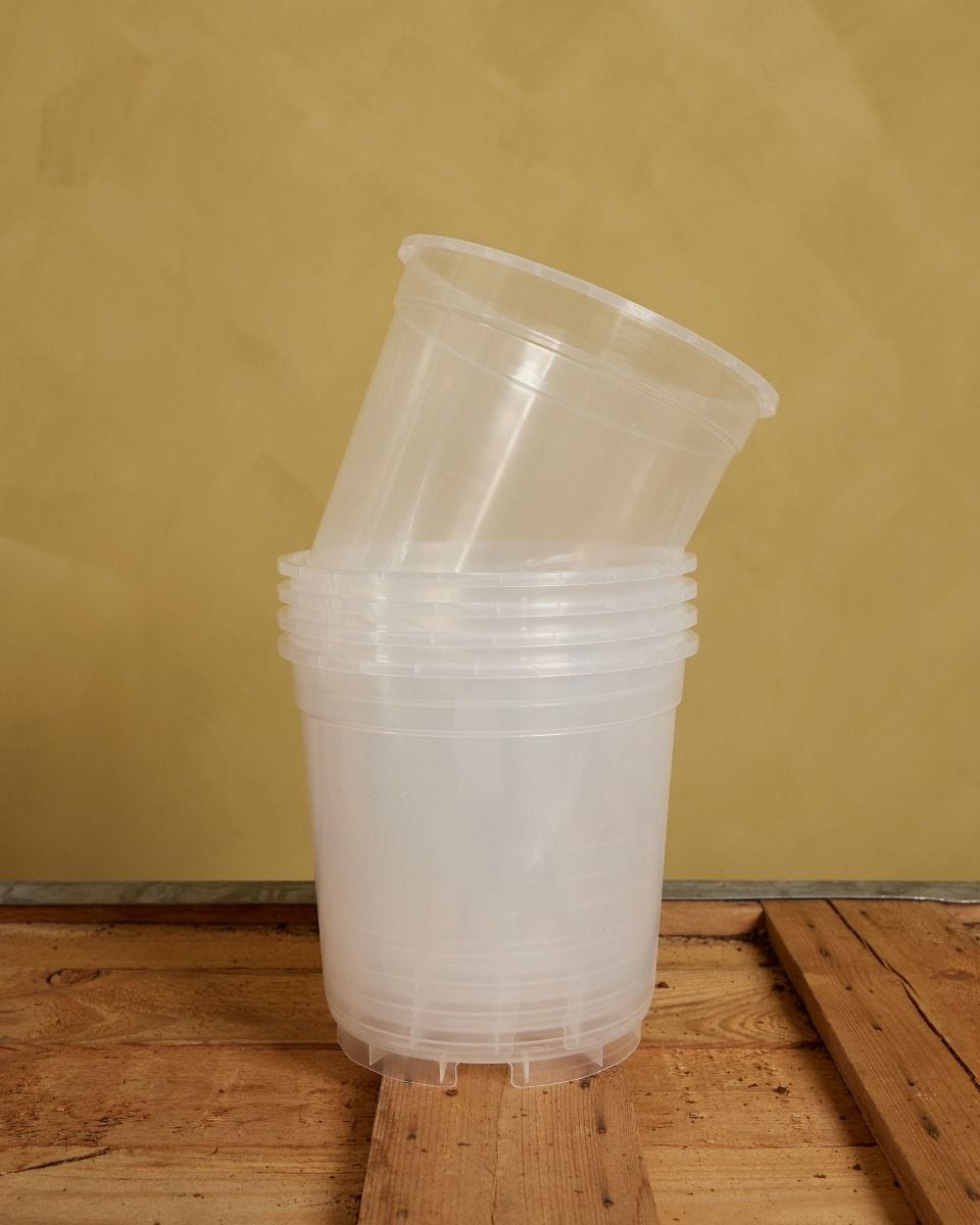 Set of 5 Nursery Planters Transparent Ø 19 cm Productset