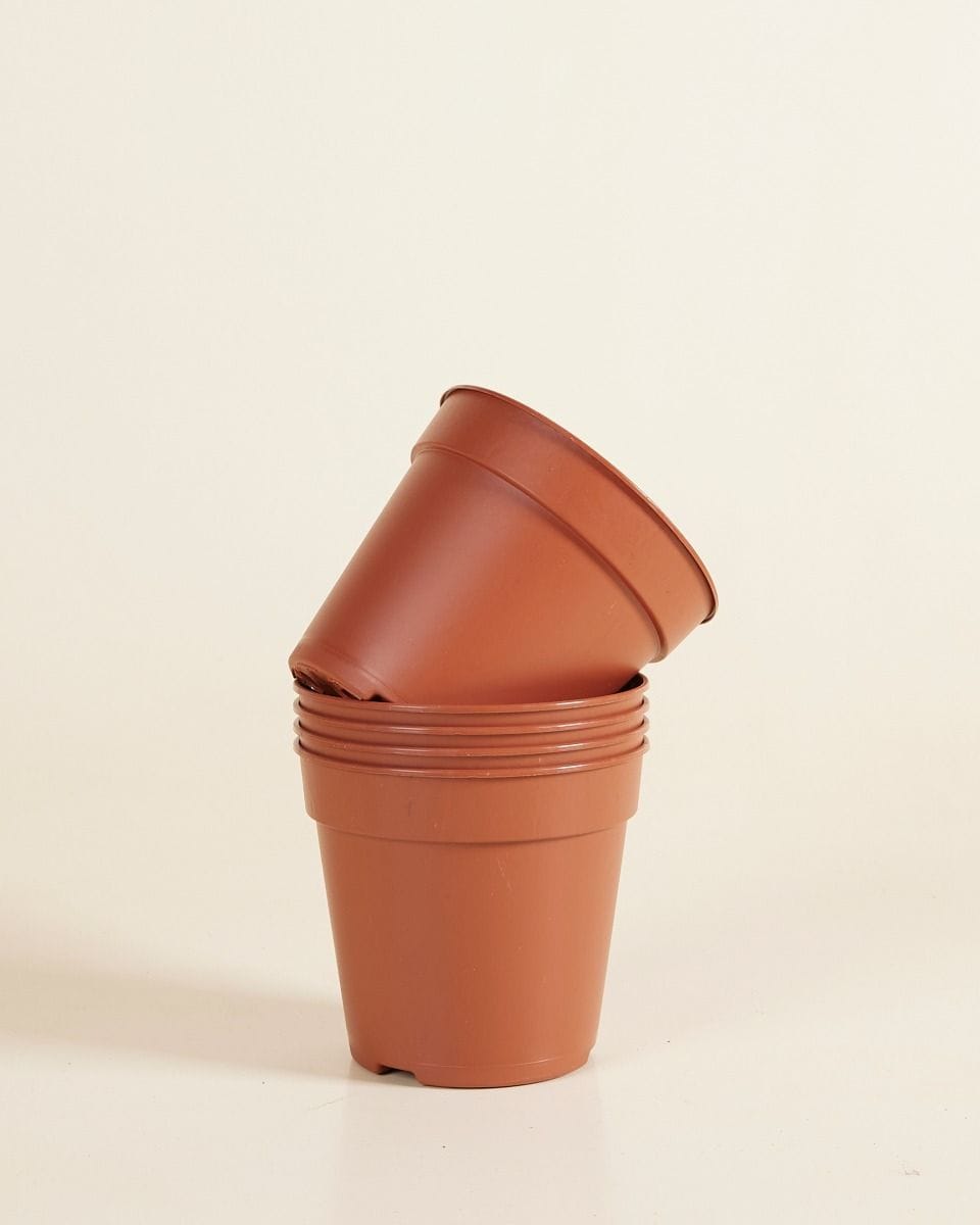 Set of 5 Nursery Planters Ø 12 cm Productset