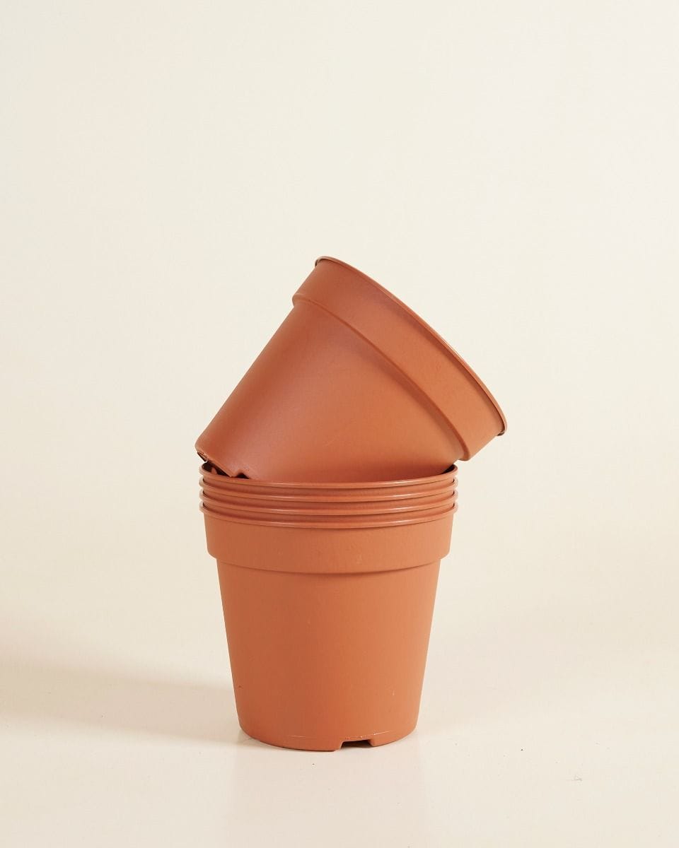 Set of 5 Nursery Planters Ø 15 cm Productset