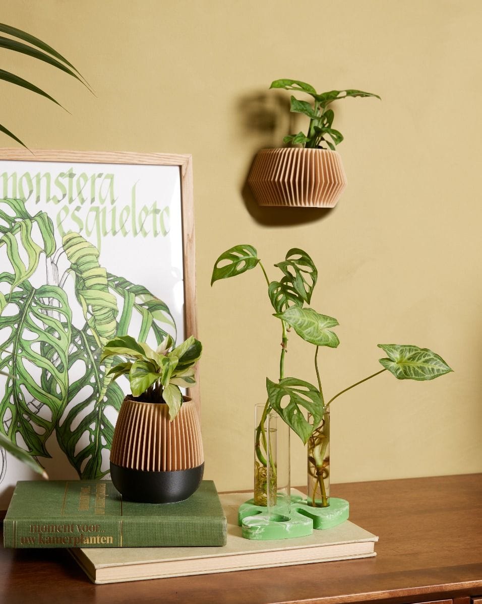 Baby Robin Wood Selfwatering Pot Van de Mortel x Urbanjungling